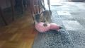 2016-05-12 16.10.19 - Inka